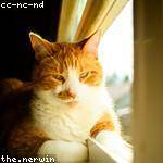 Francisco Ondricka Profile Picture