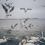 Kendra Rippin Profile Picture