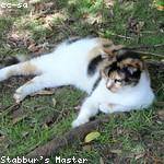 Beatrice Kub Profile Picture